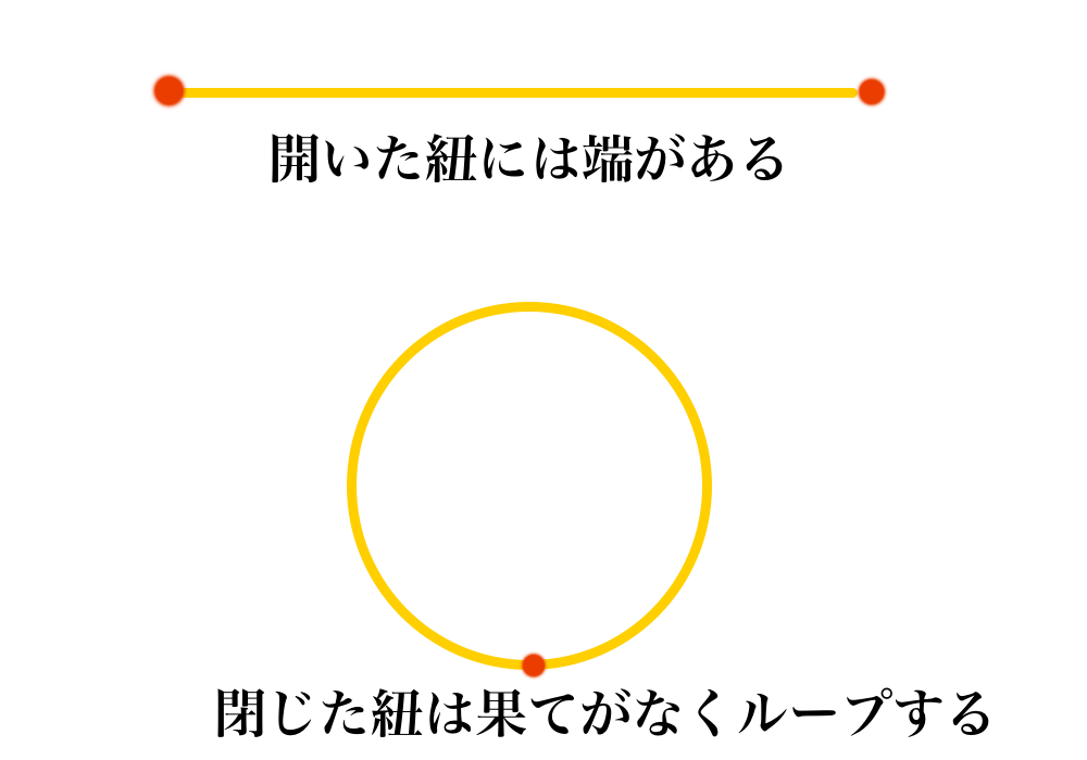 1次元閉多様体の画像