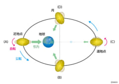 木星に出現した巨大な「黒い穴」、どうやって出来たの？の画像 3/6