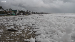 雪じゃない？インドの浜辺に「有毒な泡」が大量に押し寄せるの画像 4/4