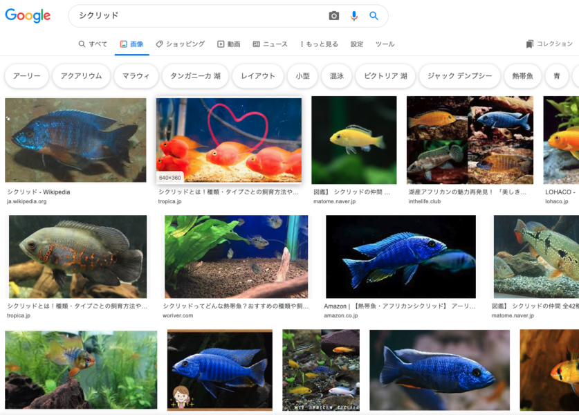 画像