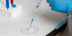 【台所革命】プラスチックの細菌を「自律的」にはじく技術が開発されるの画像 1/3