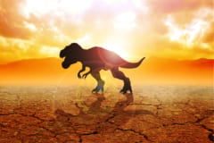 恐竜の絶滅原因は隕石でなく「水銀中毒」だった可能性の画像 1/2