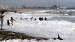 雪じゃない？インドの浜辺に「有毒な泡」が大量に押し寄せるの画像 1/4