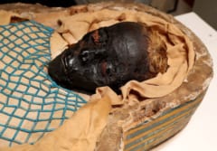 2600年間謎だった女性ミイラ「Takabuti」の死因が明らかにの画像 1/2