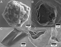 太陽系より古い？地球史上最古の物質が隕石から発見されるの画像 3/4