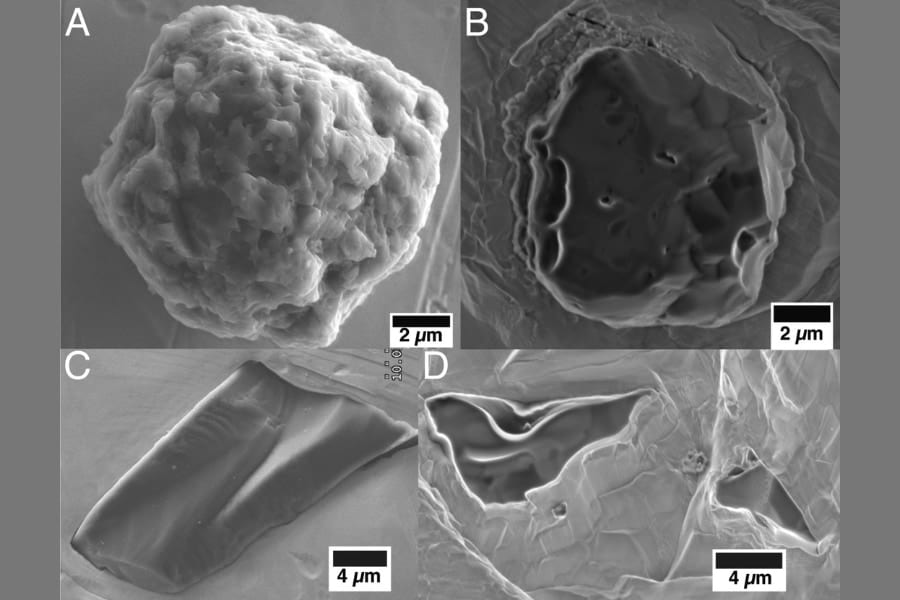 太陽系より古い？地球史上最古の物質が隕石から発見される