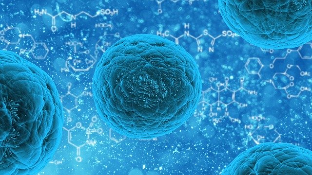 抗生物質が効かないスーパーバグを「物理的に」液体金属で切り裂いて破壊する研究　人間に害は？の画像 1/4