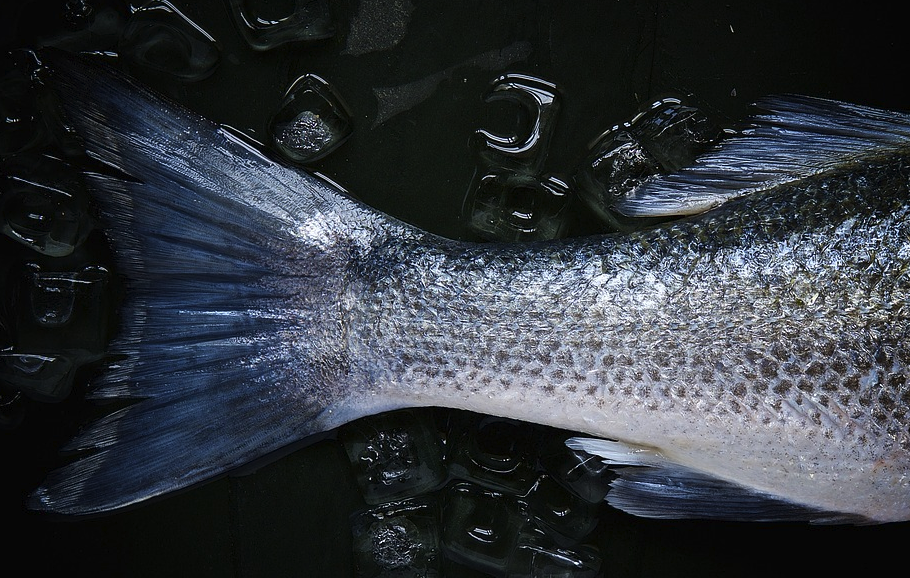 実は不健康？古代人の食事は「水銀」に汚染されていたことが判明の画像 2/3