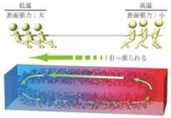 表面張力すごい。2つの水滴がぶつかる瞬間を高速カメラで撮影、意外な事実が発覚の画像 4/6