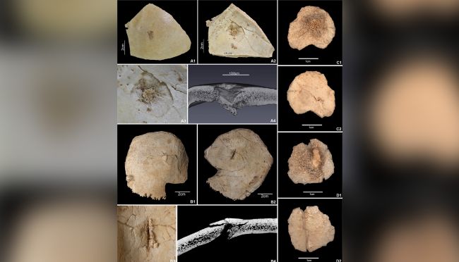 7000年前の「大虐殺の痕」がスペインの洞窟内で発見！”外国人嫌い”を証明？