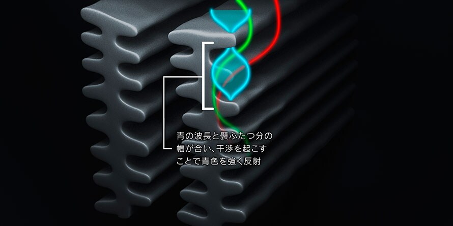 モルフォ蝶の構造発色の原理