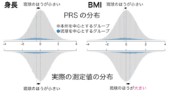 関東人と関西人は遺伝子から違う？日本人は8つの遺伝的グループに分かれているという研究の画像 3/4