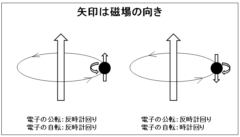 電子スピンのイメージ。