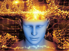 恐怖記憶をつくる「恐怖回路」を発見！恐怖記憶の削除方法も判明し、記憶編集技術への道が開かれるの画像 4/4