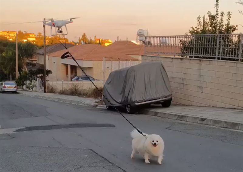 コロナで隔離された街で「ドローンが犬を散歩させる」光景が出現