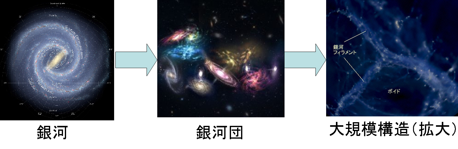 宇宙の大規模構造を「粘菌」が再現！驚異の能力が明らかにの画像 3/6