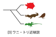 カメは爬虫類よりも「鳥」に近い生物だったの画像 4/5