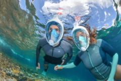 シュノーケリングマスクを人工呼吸器に接続してCPAPマスクへ改造に成功（イタリア）の画像 3/5