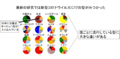 新型コロナウイルスが脳に大きな後遺症を与える可能性の画像 6/6