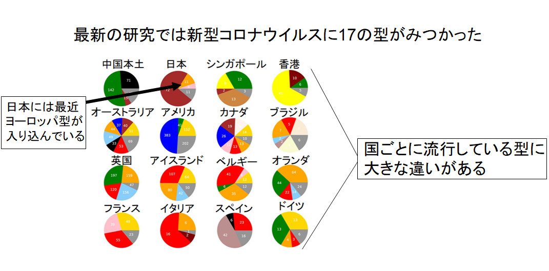 新型コロナウイルスが脳に大きな後遺症を与える可能性の画像 6/6