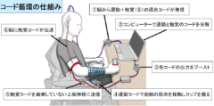 マヒ患者の運動能力と触覚が新技術で回復！触覚の情報コード化に成功の画像 4/7