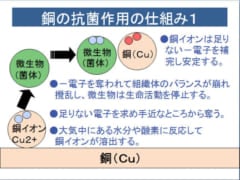 「銅」がウイルスを効果的に殺せる仕組みとは？の画像 4/4