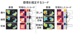 マヒ患者の運動能力と触覚が新技術で回復！触覚の情報コード化に成功の画像 3/7