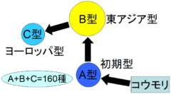 新型コロナウイルスはヨーロッパへ広がるために変異していた？ウイルスの系譜が明らかに