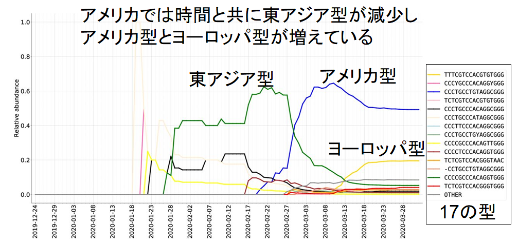 新型コロナの「遺伝指紋」を作成した結果、日本にヨーロッパ型が侵入したことが判明の画像 5/6