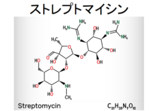 雨上がりの土の匂いは4億年続く微生物の生存戦略だったの画像 2/3