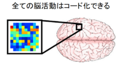 マヒ患者の運動能力と触覚が新技術で回復！触覚の情報コード化に成功の画像 7/7