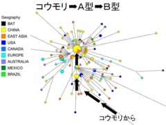 新型コロナウイルスはヨーロッパへ広がるために変異していた？ウイルスの系譜が明らかにの画像 2/4