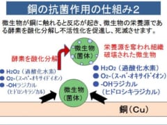 「銅」がウイルスを効果的に殺せる仕組みとは？の画像 3/4