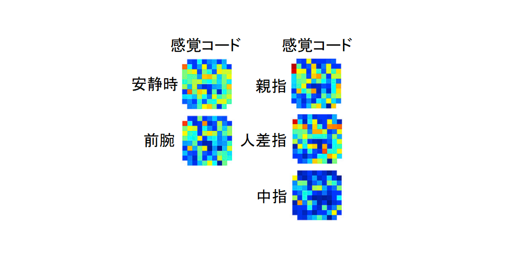 マヒ患者の運動能力と触覚が新技術で回復！触覚の情報コード化に成功