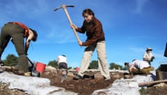 旧約聖書の失われた古代都市「ジクラグ」の存在を示す秘宝を学生が発見の画像 8/8