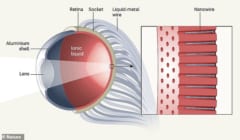 ヒトの目を超越した人工眼球「EC-EYE」とはの画像 2/5