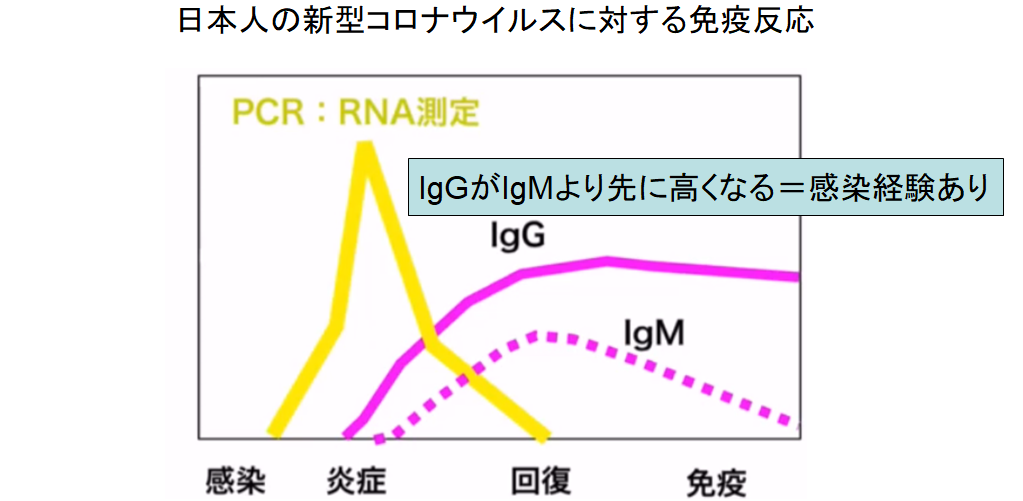 日本人は新型コロナウイルスに対して免疫を持っている可能性　低い死亡率の原因？の画像 4/6