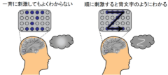 失明患者の脳に「電気で絵を描く」ことで文字が読めるようになる実験の画像 3/4