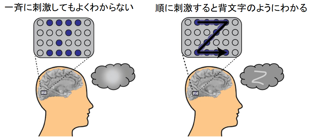 失明患者の脳に「電気で絵を描く」ことで文字が読めるようになる実験の画像 3/4