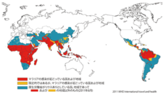 蚊をマラリア感染から守る謎の微生物が発見される！日本のマラリア予防にも最適？の画像 4/4