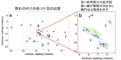 北極ではコケ玉が群れで同じ方向に転がる!?　奇妙な生態を調査の画像 2/7