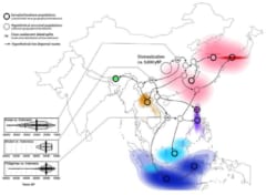 日本人が米を主食にしているのは古代文明を崩壊させた4200年前の寒冷化が原因と判明の画像 2/3