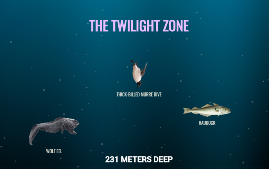 スクロールすると深海にどんどん潜れるサイト「The Deep Sea」は時間が溶ける面白さ