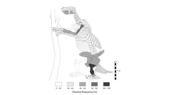 自分のうんちで溺れて集団死した「古代ナマケモノ」の化石を発見の画像 1/3