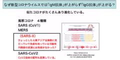 日本人は新型コロナウイルスに対して免疫を持っている可能性　低い死亡率の原因？の画像 5/6