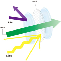 何もいない池にサングラスをかけると魚が現れる!?　不思議な偏光サングラスとは？の画像 5/8