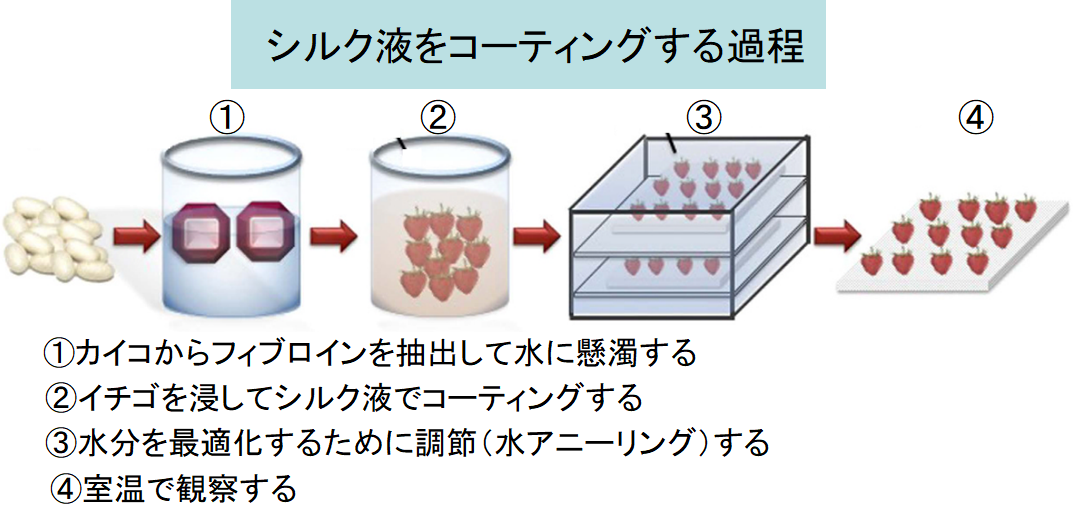 賞味期限が2倍になる!?　”絹のコーティング”が食品を長持ちさせると判明の画像 2/6