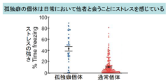 孤独が長引くと「魚」も仲間に会いたくなくなる!?　”気まずさ”を感じるのは人だけじゃない。の画像 5/6