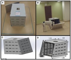 犬は「飼い主を助けたい」と思っていることが証明される！　やっぱり犬は人に”やさしい”パートナーだったの画像 2/2