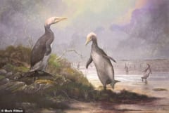 3700万年前の北半球には、ヒトの背丈と同じ大きさの”ペンギンみたいな生き物”が存在していた？の画像 1/4